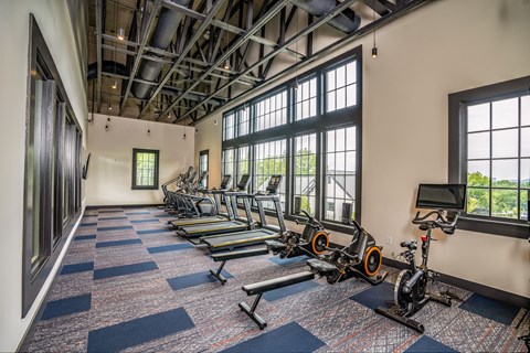 a gym with weights and cardio machines and windows